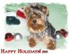 Olivia's Christmas Photo shoot!-oli-christmas-05-green-2.jpg