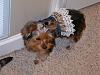 Sophie Belle's Fashion Show!!-100_1097.jpg