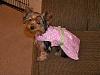 Sophie Belle's Fashion Show!!-100_1098.jpg