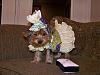 Sophie Belle's Fashion Show!!-100_1100.jpg