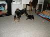 My Crew!-playing-home-11-weeks-006-resized.jpg