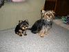 My Crew!-playing-home-11-weeks-019-resized.jpg