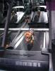 Sully jogs on the treadmill! (pics and video)-sullyjog2.jpg