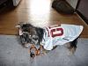 My little Redskins fan-redskins2.jpg