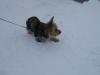 Snow Pics-img_0177.jpg