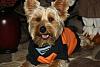 Jackson's celebrating Howl-o-Ween with a smile-img_2999.jpg