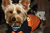 Jackson's celebrating Howl-o-Ween with a smile-img_2996.jpg