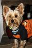 Jackson's celebrating Howl-o-Ween with a smile-img_2983.jpg