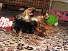 Kalina playing with her babies-kalina-babies-1.jpg