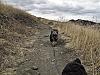 Hiking with the buddies-10524_149414333164_680618164_2711742_1122313_n.jpg