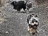 Hiking with the buddies-10524_149414368164_680618164_2711748_7461237_n.jpg