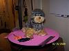 Yodi's Adventure Discussion Thread - YorkieTalk's Traveling Yorkie-100_4663.jpg