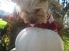 Happy Fall Y'all-img_3074-small-.jpg