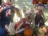 Happy Fall Y'all-img_3059-small-.jpg