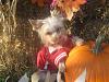 Happy Fall Y'all-img_3099-small-.jpg