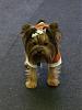 YorkieHaven Rescue Halloween Party-dscf3023-small-.jpg