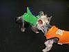YorkieHaven Rescue Halloween Party-dscf3117-small-.jpg
