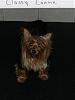 YorkieHaven Rescue Halloween Party-dscf3194-small-.jpg