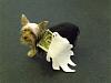 YorkieHaven Rescue Halloween Party-dscf3204-small-.jpg