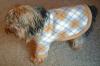 Check out Turbo in his new sweater!!!-bo_coatfull.jpg