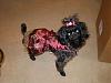 Tink got her Christmas Dress from Jodie!-tinks-christmas-dress-2009-007.jpg