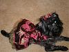 Tink got her Christmas Dress from Jodie!-tinks-christmas-dress-2009-022.jpg