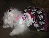 Pics of Bobo, Libby an Pearl in their Halloween Suits!-doghalloweenpics2009-002.jpg