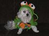 Pics of Bobo, Libby an Pearl in their Halloween Suits!-doghalloweenpics2009-031.jpg
