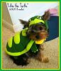 Lillie won the Halloween Costume Contest!-lillietheturtle2.jpg