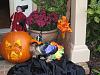 2009 Halloween Contest Outtakes & Bloopers-sadie-outtake2.jpg