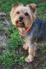 My Gorgeous Brown Eyed Boy.-dsc_0634.jpg