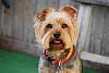 My Gorgeous Brown Eyed Boy.-dsc_0597.jpg