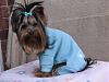 Pebbles modeling her new clothes-phpioncevam.jpg