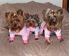 Maddie, Libby and Faith in their new jammies!-jammie1.jpg