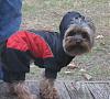 Snoopy's new snowsuit!-dec09-017ab.jpg