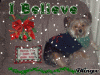 Banjo's Christmas blingee!!-banjoxmasblingee.gif
