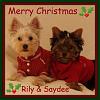 Rily & Saydee's first Christmas picture-redsweaters3.jpg