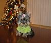 My New Sweater...-dsc_0045yt.jpg