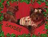 Merry Christmas from Rily & Saydee-saydeechristmas2.jpg