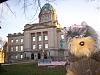 Yodi's Adventure Discussion Thread - YorkieTalk's Traveling Yorkie-yodi-courthouse.jpg