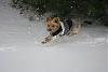 Jackson takes on the "BLIZZARD!"-img_4725.jpg