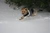 Jackson takes on the "BLIZZARD!"-img_4725.jpg