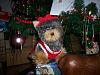 Yodi's Adventure Discussion Thread - YorkieTalk's Traveling Yorkie-100_1469.jpg