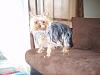 My new baby Zach!-006.jpg