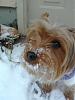 Corrected: Ella's snow day!-ella-20.jpg