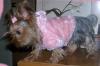 Gucci with her new Pink coat-gucci-pink-coat-2.jpg