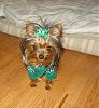 My Bailey, Gorgeous in green-green-3.jpg