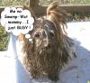 AL. Swamp Rat~Have You Seen ONE?-dsc00040.jpg