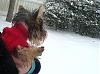 A Snowy Day!!!-dsc08149.jpg