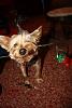 Happy Valentine's Day... Love, Jackson-img_2326.jpg